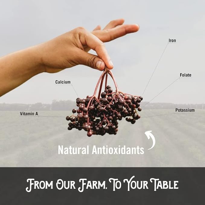 Norm's Farms American Elderberry Extract - Pure Concentrate for Immune Support Made with Berries - Vegan, Gluten Free, Non-GMO - 2 8 Oz. Bottles