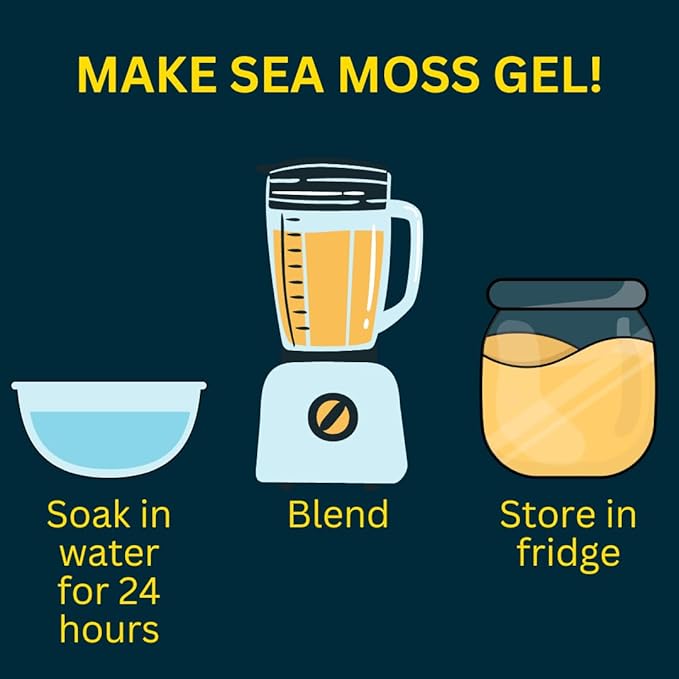 Ocean's Balance Clean Taste of Maine Sea Moss Powder (4oz) - Raw, Wildcrafted, Premium Quality - Supports Detox, Digestive Health, Immune System, Skin & Hair by Nature's Choice