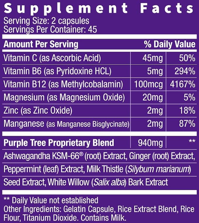 purple tree Next Day, Post-Celebration Wellness - Take Tomorrow | Replenish & Feel Your Best | Ashwagandha, Ginger, Peppermint, Milk Thistle, Electrolytes, Vitamins, 90 Pills