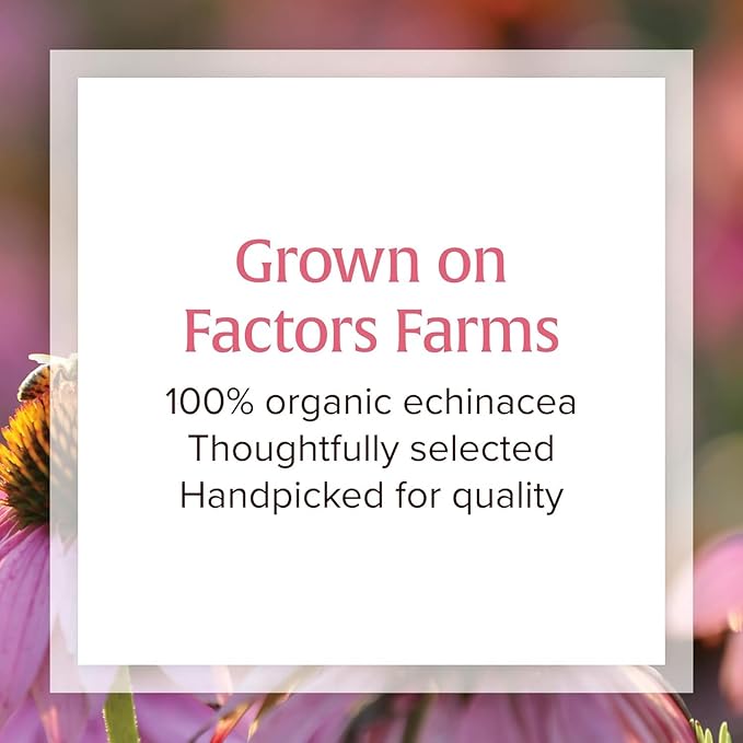 Natural Factors Anti-V Formula, Echinacea Supplement for Immune and Wellness Support, Organic, Non-GMO, 120 Softgels