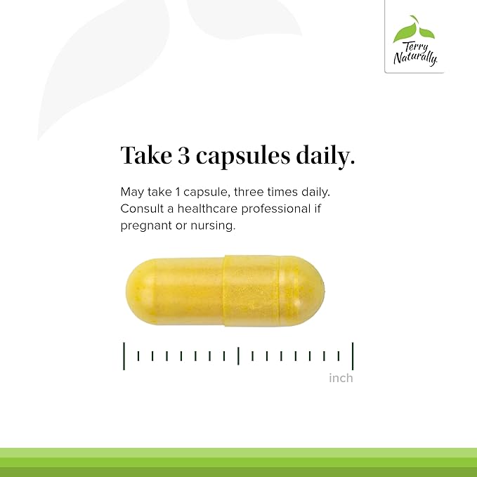 Terry Naturally Curamin - Curcumin Supplement for Circulation & Endorphin Support - Support for Occasional Discomfort - Aids Healthy Muscles - 60 Capsules