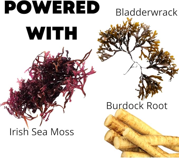 Wild Crafted Irish Sea Moss Gummies with Bladderwrack & Burdock Root - Chewable Natural Multivitamin Vegan Gummies for Immune, Thyroid, Digestive, and Gut Support - 60 Gummies