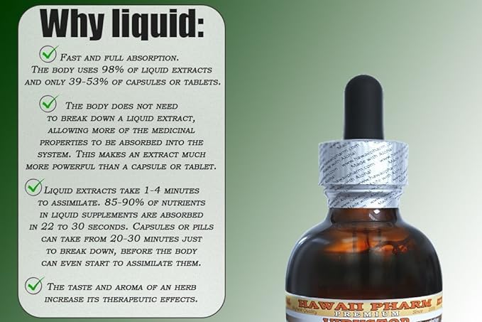 Milk Thistle Alcohol-Free Liquid Extract, Organic Milk Thistle (Silybum marianum) Dried Seed Glycerite Natural Herbal Supplement, Hawaii Pharm, USA 4 oz