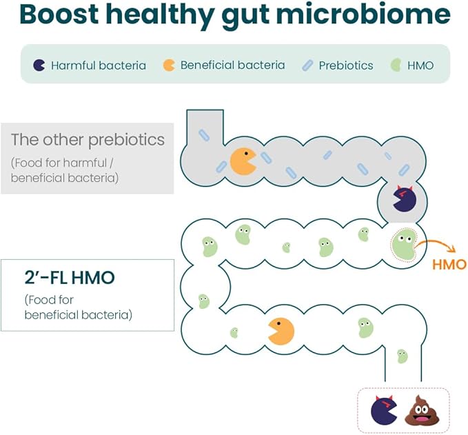 MOMSTAMIN 2'-FL HMO Prebiotics Probiotics Powder, Patented 11 Strains, Healthy Gut Microbiome, Immune Digestive Supplement, IBS Relief, 30 Sticks