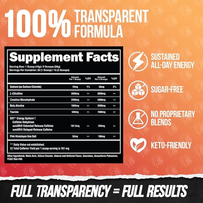 ALPHA LION Core Pre Workout Powder with Creatine for Performance, Beta Alanine for Muscle, L-Citrulline for Pump & Tri-Source Caffeine for Sustained Energy (30 Servings, Fruit Punch Flavor)