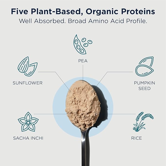 Designs for Health Phytotein Vegan Protein Powder - 20g Organic Rice, Sacha Inchi, Pumpkin Seed, Sunflower Seed & Pea Protein Powder Blend - Creamy Texture, Vanilla Plant Protein (465g)
