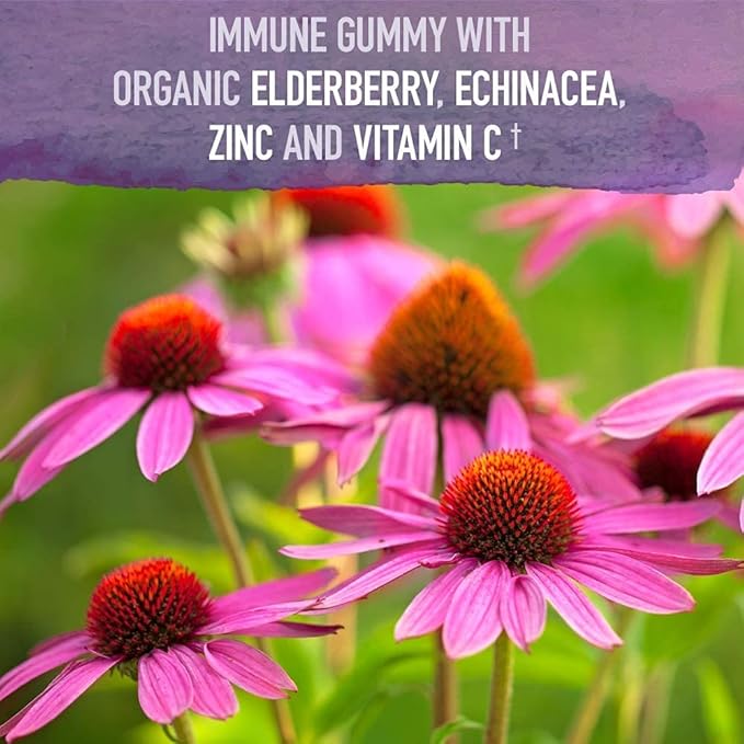 Garden of Life Organics Plant-Based Elderberry Immune Syrup 6.59 fl oz & Organics Elderberry Gummies for Adults & Kids