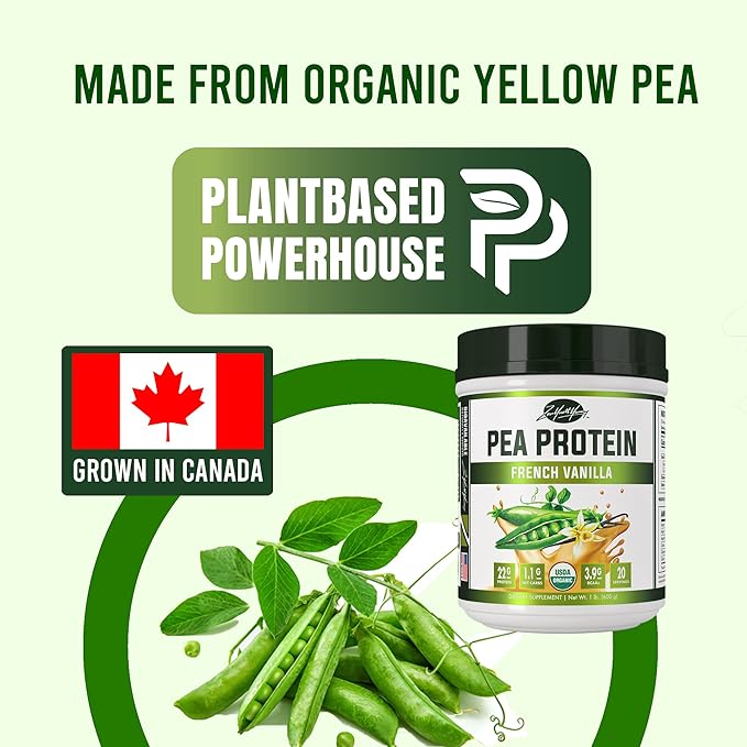 zyy Vanilla Pea Protein Powder – Organic Plant-Based Vegan Protein Shake, 20g Protein, Gluten-Free, Dairy-Free, No Sugar, Non-GMO, BCAAs – French Vanilla Flavor, Easy to Digest