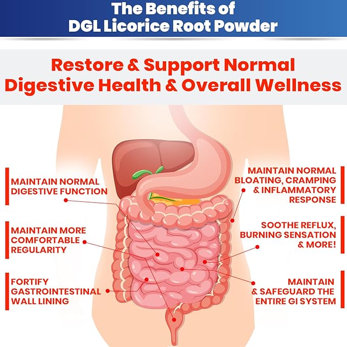 DGL Licorice Supplement: Supports Digestive Health, Gut Lining Support, DGL Powder for Wellness, Licorice Root Extract Powder, 140 Servings (2-Pack)