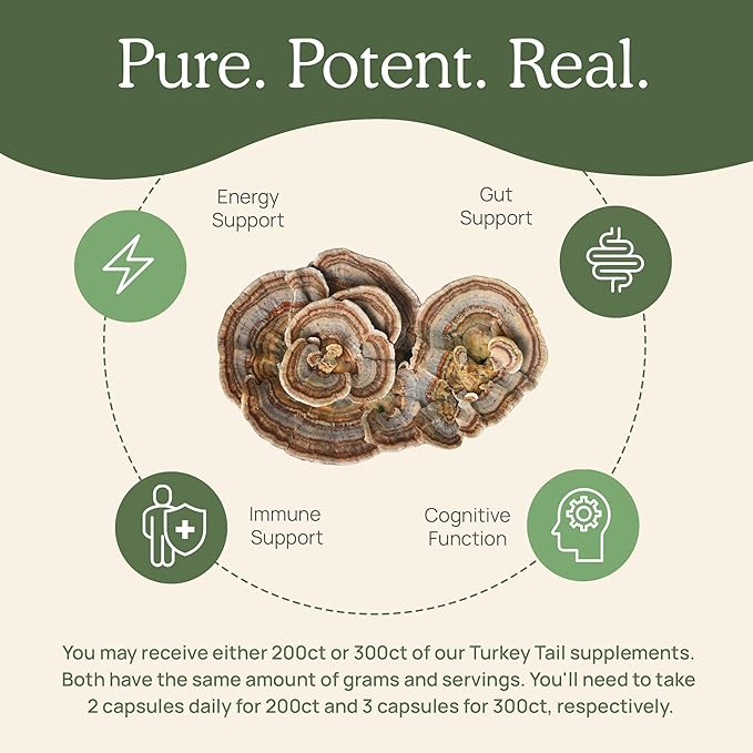 Turkey Tail Capsules - Organic Mushroom Supplement with Potent Turkey Tail Mushroom Extract for Gut, Energy, Brain, & Immune Support - Vegan Mushroom Extract, Non-GMO, 200 Caps