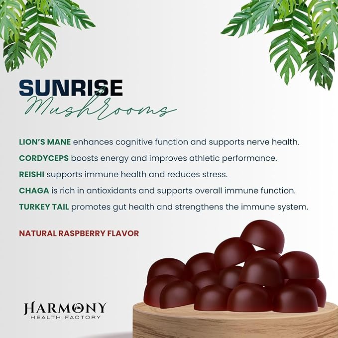 SUNRISE 10x Potency Mushroom Supplement Gummies for Energy, Mood and Immune Support with Organic Lion's Mane, Cordyceps, Reishi, Chaga and Turkey Tail Nootropic Adaptogenic Raspberry Flavor 60 Count