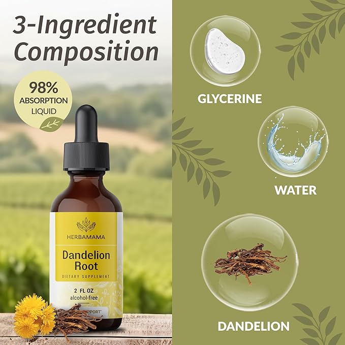 HERBAMAMA Dandelion Root Extract - Dandelion Tincture Vegan Liver Support Supplements - Dandelion Root Liver and Kidney Detox Drops - Alcohol & Sugar-Free, 28-Day Supply