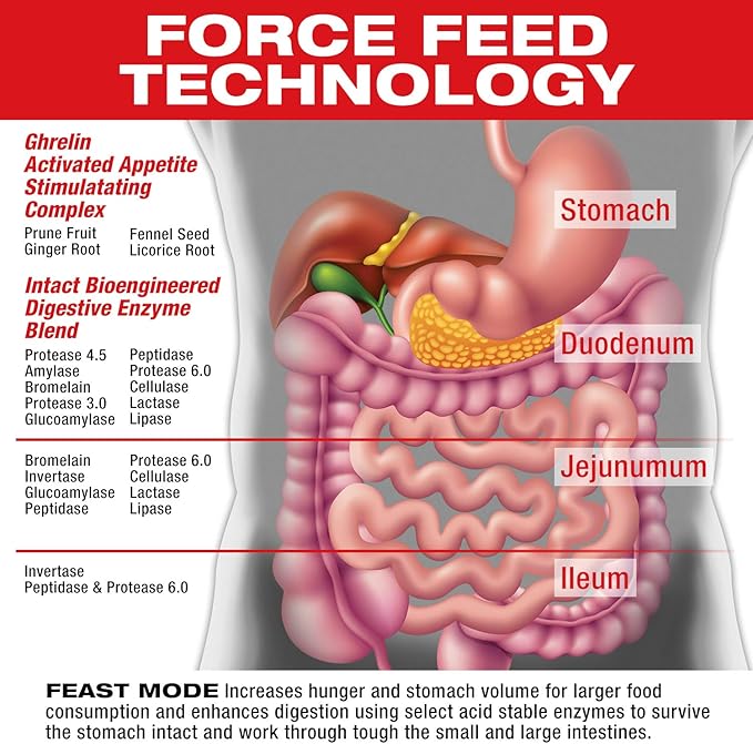 MuscleMeds Feast Mode Appetite Stimulant Weight Gain Pills Digestive Enzymes Safe and Effective 90 Caps, Unflavored, 90 Count