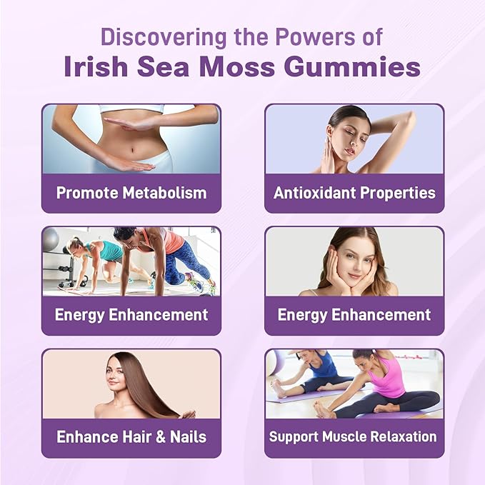 2 Pack Irish Sea Moss Gummies with Elderberry, Bladderwrack, Burdock, Chlorophyll - Digestion, Skin, Hair and Enhance Immunity - Adults Kids Women Men, 120 Blueberry Flavored Gummies