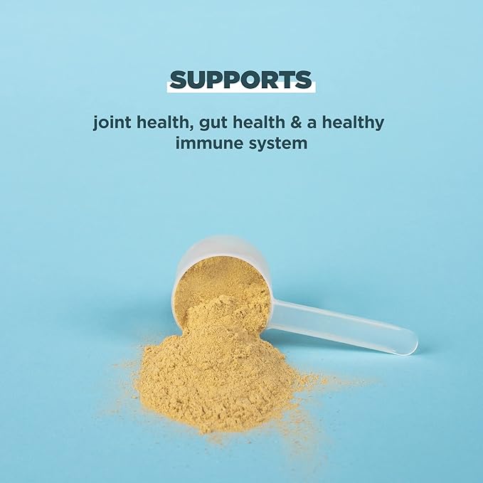 Ancient Nutrition Bone Broth Protein Powder, Pure Flavor, 20g Protein per Serving, Supports Healthy Skin, Gut Health, Joint Supplement, Gluten Free, Paleo and Keto Friendly, 40 Servings