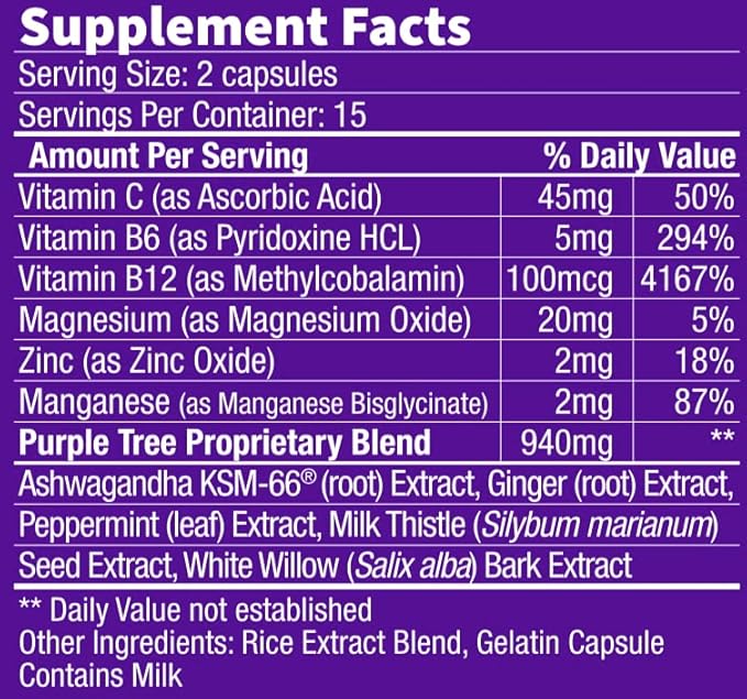 purple tree Next Day, Post-Celebration Wellness - Take Tomorrow | Replenish & Feel Your Best | Ashwagandha, Ginger, Peppermint, Milk Thistle, Electrolytes, Vitamins, 30 Pills