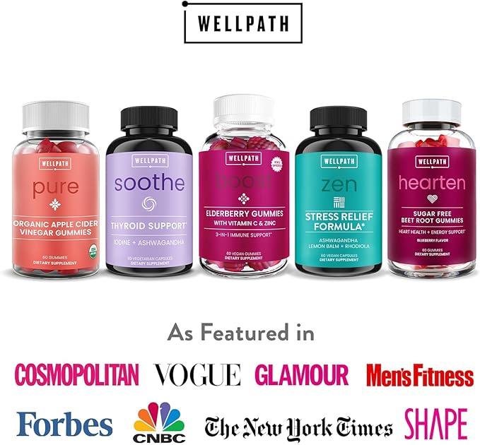 WellPath Boost Elderberry Gummies with Zinc & Vitamin C | Immune Support Supplement for Adults | Immunity Booster Vitamins | Sambucol Black Gummy | Non-GMO & Vegan, 60 Ct