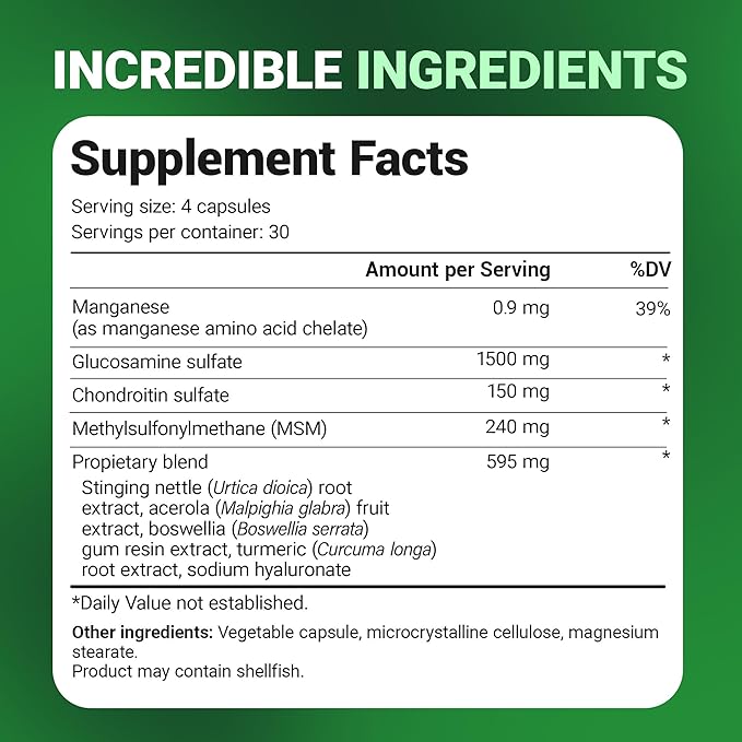 Dr. Berg Glucosamine Chondroitin MSM Turmeric & Boswellia - Advanced Joint Support Supplement with 1500 mg Glucosamine Sulfate - Includes 120 Capsules