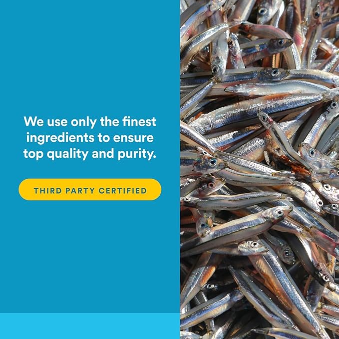 Natural Factors, RxOmega-3 Fish Oil, Pharmaceutical Grade, 1260 mg Omega-3 Per Serving, No Fishy Aftertaste, 240 Count (Pack of 1)
