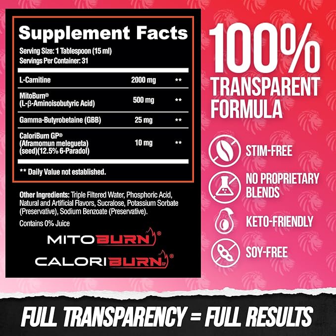 ALPHA LION Burn 20 L-Carnitine Liquid 2000mg, Premium Liquid Fat Burner & Pre-Workout Supplement for Men & Women - Natural Energy & Metabolism Booster for Weight Loss - ShredBerry