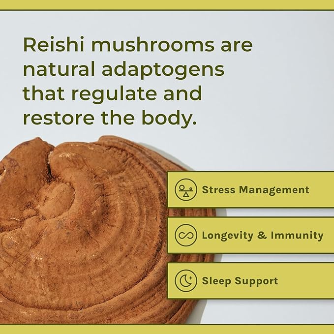 Naturealm Reishi Mushroom Powder Supplement - Organic Reishi Mushroom Extract Powder for Wellness & Cognitive Support - 60-Day Supply with Red Reishi Mushrooms