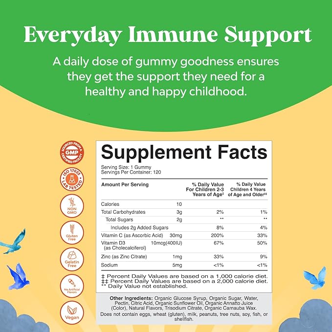 Natures Craft Organic Kids Immune Support Gummies - Vegan Organic Vitamin D Gummies for Kids with Vitamin C and Zinc for Immunity - D3 Zinc and C Gluten Free & Non GMO (120 Servings)