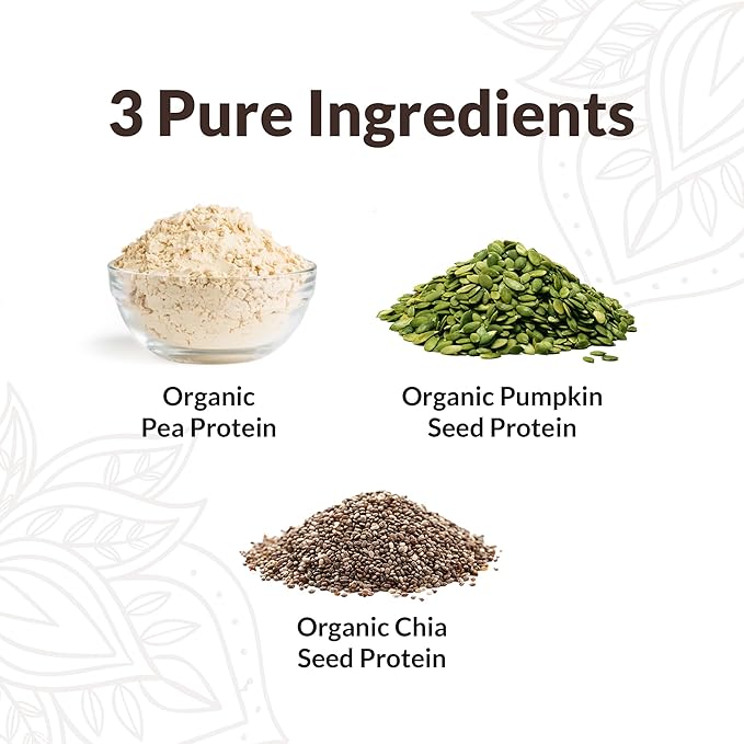 Organic Vegan Protein Powder | 20g Plant-Based Protein, Gluten-Free, Dairy-Free, Non-GMO | Vanilla Flavor | Perfect for Smoothies, Shakes, Muscle Recovery & Meal Replacement | 16 Packets