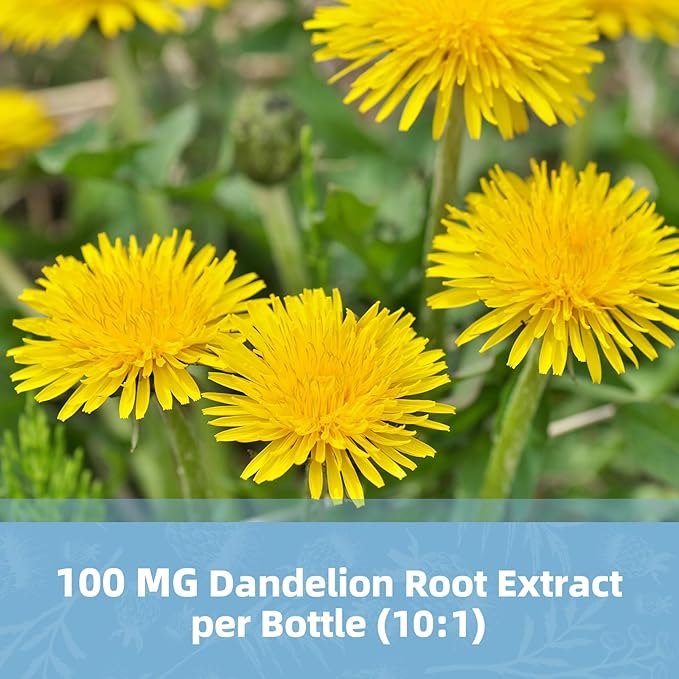 Milk Thistle Supplement Capsules, Liver Health Formula, with Dandelion Root, 10:1 Extract, for Liver Detox Cleanse Support, Digestive & Immune System (120 Count (Pack of 2))
