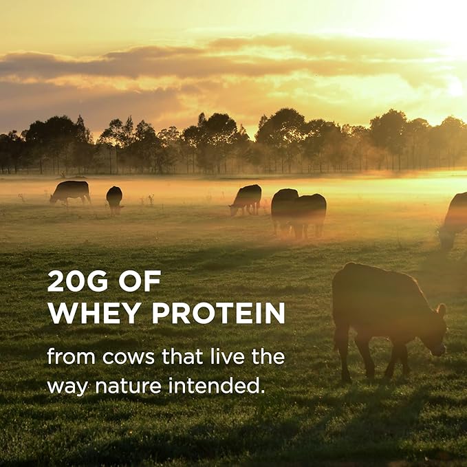 Solgar Grass Fed Whey to Go Protein Powder Unflavored, 11.2 oz - 20g of Grass-Fed Protein from New Zealand Cows - Great Tasting & Mixes Easily - Supports Strength & Recovery - Non-GMO, 13 Servings