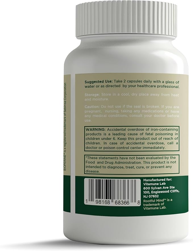 Stress Energy Brain (2 Pack) - Fatigue Supplement with Stress, Energy Support - Rhodiola Rosea, Lions Mane, L Theanine, Ginkgo Biloba, Milk Thistle, Iron - 4 Months Supply