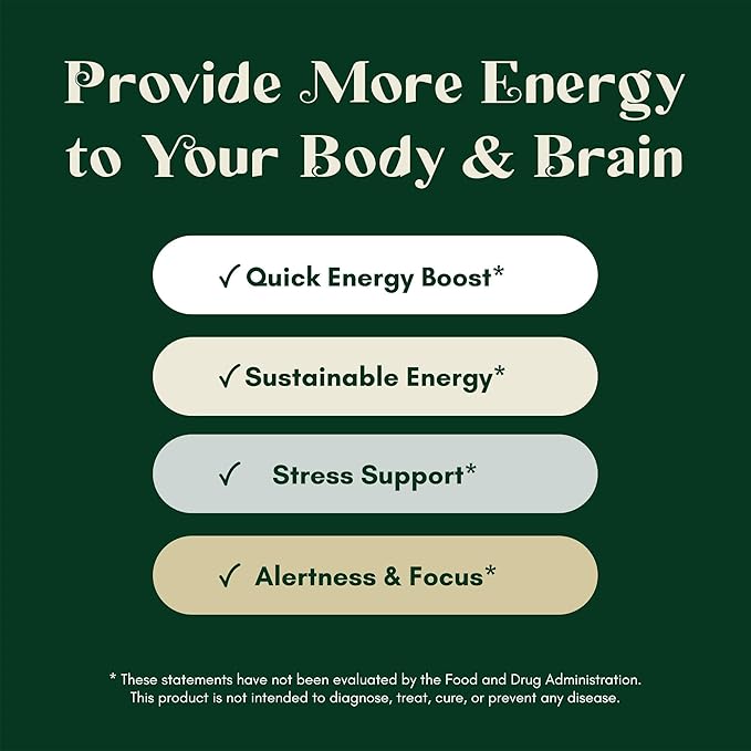 Stress Energy Brain (2 Pack) - Fatigue Supplement with Stress, Energy Support - Rhodiola Rosea, Lions Mane, L Theanine, Ginkgo Biloba, Milk Thistle, Iron - 4 Months Supply