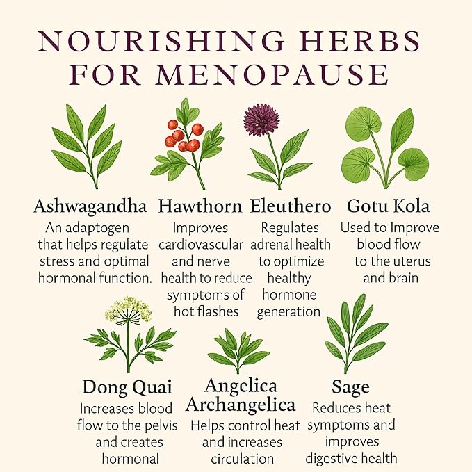 Perennial Life Moon Phases Menopause Relief Formula - Natural Hormonal Support Supplements 120 Capsules - Made of Herbs