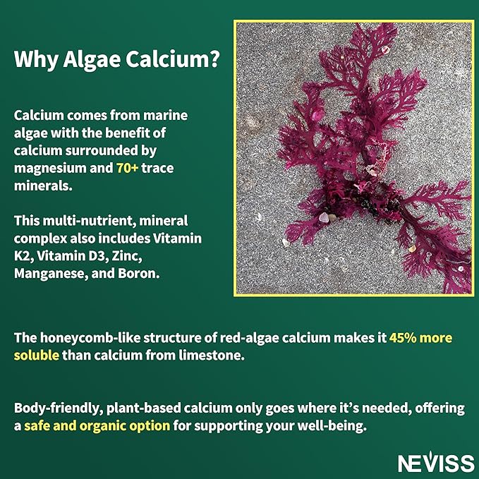 (2 Pack) Algae Calcium Gummies 600mg with Vitamin D3, C, Magnesium, Boron, Manganese, Plant-Based Calcium Supplement for Bone Health & Strength, Minerals Complex, Gentle Digestion, Sugar Free, Vegan