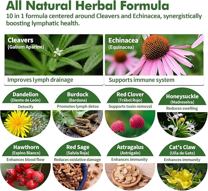 Cleavers Lymphatic Drainage Drops for Lymph System Detox Cleanse, Lymphedema Support Supplement Formula w/Echinacea, Cat’s Claw, Red Clover Extract Tincture, Use with Lymph Massage Tool. 2oz