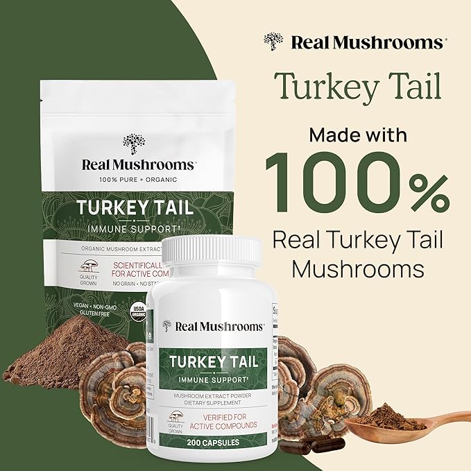 Real Mushrooms Turkey Tail Capsules - Organic Mushroom Supplement with Potent Turkey Tail Mushroom Extract for Gut, Energy, Brain, & Immune Support - Vegan Mushroom Extract, Non-GMO, 90 Caps