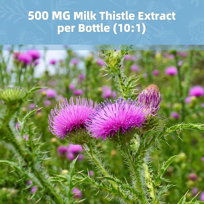 Milk Thistle Supplement Capsules, Liver Health Formula, with Dandelion Root, 10:1 Extract, for Liver Detox Cleanse Support, Digestive & Immune System (120 Count (Pack of 2))