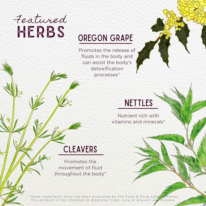 WishGarden Herbs Deep Cleanse - Plant-Based Herbal Cleansing Supplement with Organic Milk Thistle Seed & Burdock Root Promotes Organ Cleansing, Supports Liver, Kidney, Lymph & Cellular Health, 2oz
