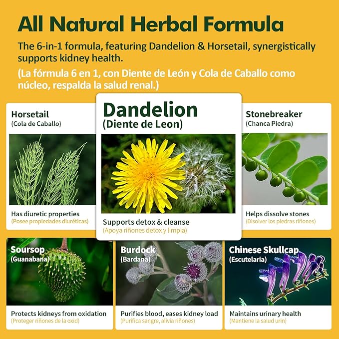 Kidney Cleanse Drops, Gotas de Chanca Piedra para Los riñones con Cola de Caballo y Diente de Leon for Water Away & Edema Relief. Nature Herbal Extract Liquid for Kidney Cleanse Detox &. 2oz