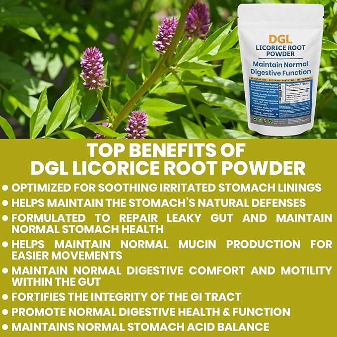 DGL Licorice Supplement: Supports Digestive Health, Gut Lining Support, DGL Powder for Wellness, Licorice Root Extract Powder, 140 Servings (2-Pack)