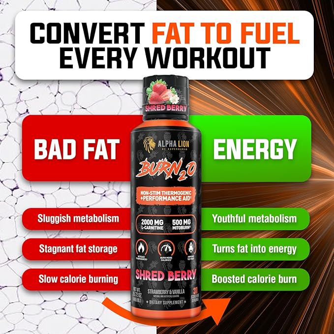 ALPHA LION Burn 20 L-Carnitine Liquid 2000mg, Premium Liquid Fat Burner & Pre-Workout Supplement for Men & Women - Natural Energy & Metabolism Booster for Weight Loss - ShredBerry
