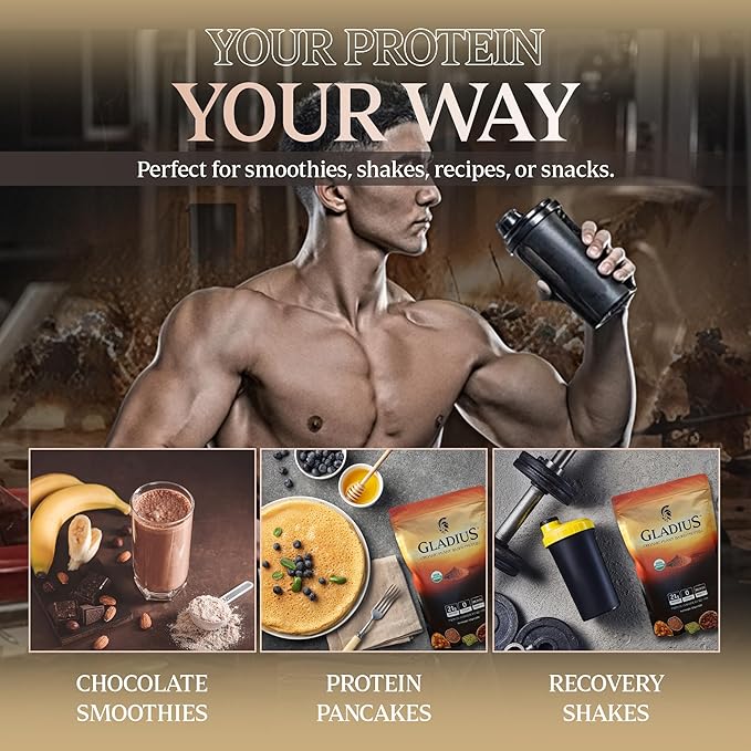 GLADIUS Organic Plant Based Protein Powder | Chocolate | 15 Servings | 21g of Protein | Plant Based | No Sugars Added | Rich in Probiotics