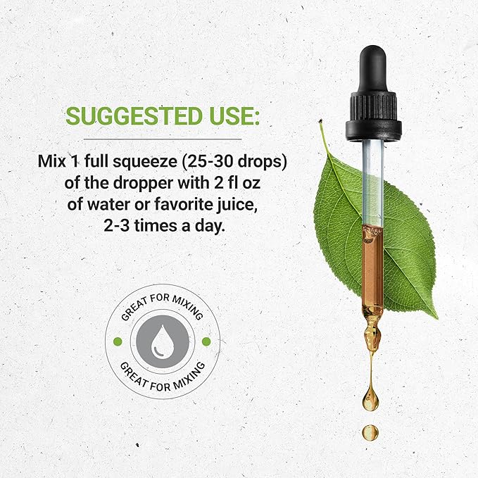 Secrets of the Tribe Artichoke USDA Organic | Alcohol-Free Extract, High-Potency Herbal Drops | Made from 100% Certified Organic Artichoke (Cynara scolymus) Dried Leaf 4 oz