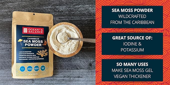 Ocean's Balance Clean Taste of Maine Sea Moss Powder (4oz) - Raw, Wildcrafted, Premium Quality - Supports Detox, Digestive Health, Immune System, Skin & Hair by Nature's Choice