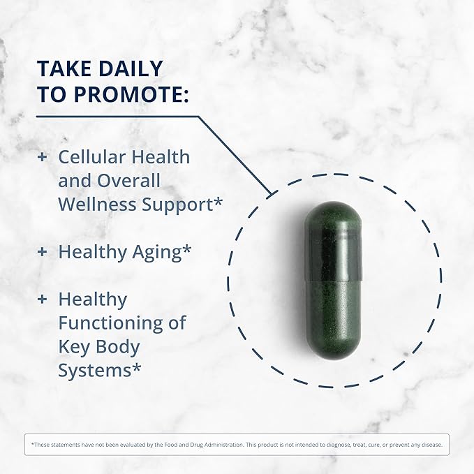 Metagenics PhytoMulti Multivitamin with Phytonutrients - Daily Multivitamin Supplement for Men & Women - with Zinc & B6 Vitamins - 60 Capsules