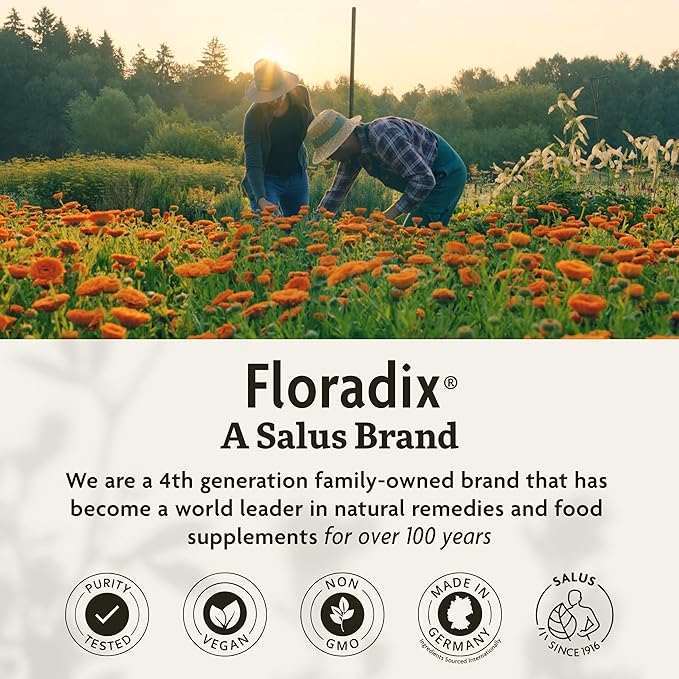 Floradix Iron Tablets - Iron Supplement with Folic Acid, Vitamin C & More - Energy Support - Vegetarian, Gluten-Free - 80 Tablets