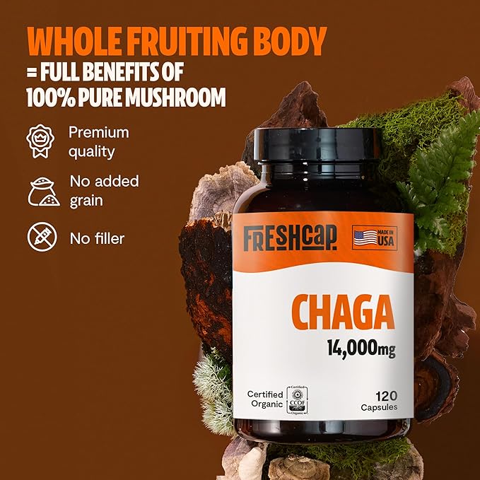 FreshCap Chaga Mushrooms Capsules 14,000mg - Chaga Mushroom Supplement, Mushroom Extract Antioxidants Supplement, Mushrooms Herbal Supplements, Ayurveda Nootropic Immunity Supplements (120 Capsules)