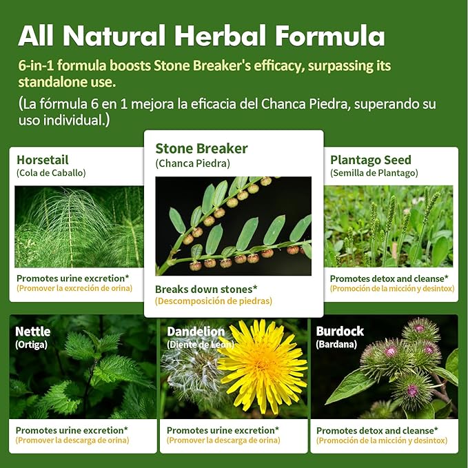 Herbal Drops Extract with Stone Breaker, Kidney Stone Dissolve & Gallstone Dissolver, Detox Support. 6oz-Apple