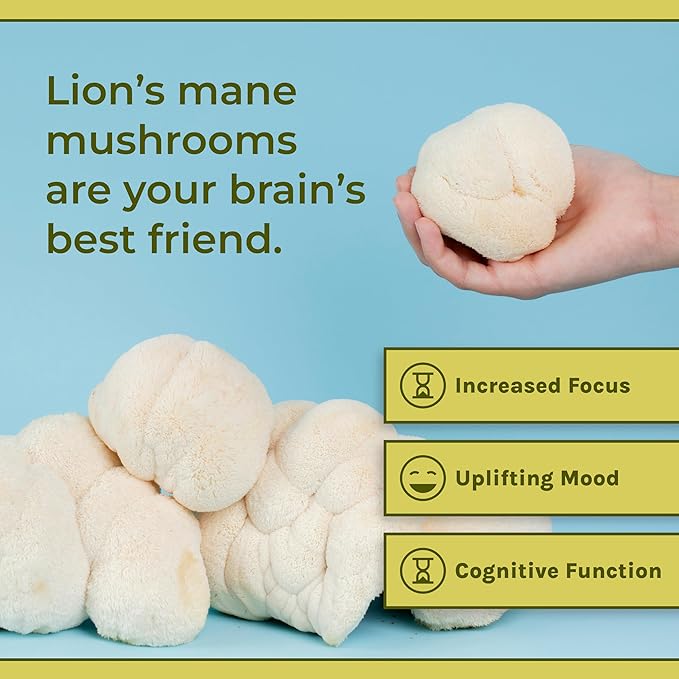 Naturealm Lion's Mane Mushroom Powder - Organic Brain Support for Focus Memory Mental Clarity - Non GMO Cognitive Function - 60 Servings
