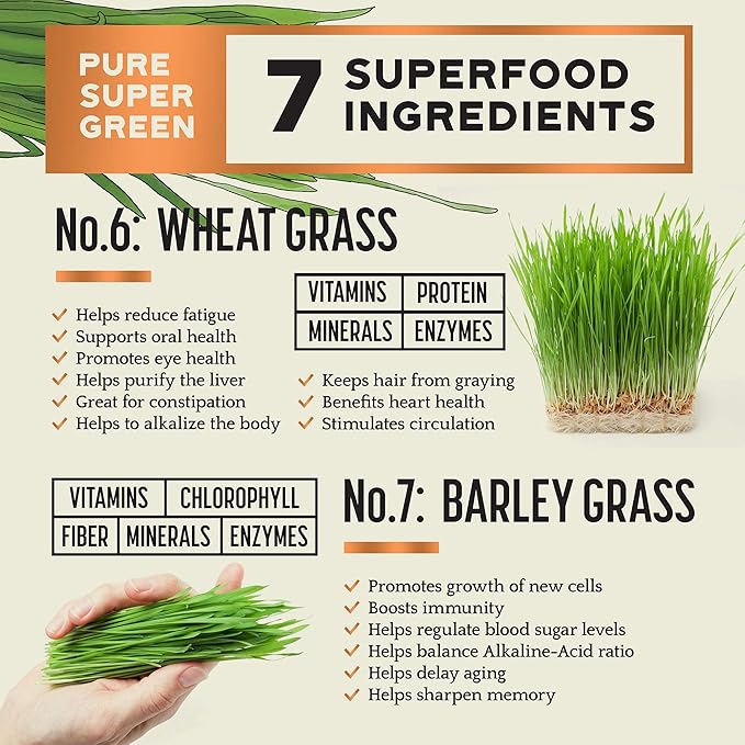 Bright Horizon Health Pure Super Green Juice Powder with 7 Super Green to Boost Energy, Digestive Enzymes, pH Balance, Detox – Natural, 8oz