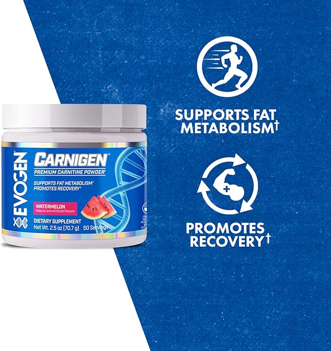 Evogen Carnigen - Premium Carnitine Powder | Supports Fat Metabolism & Promotes Recovery | Stimulant-Free L Carnitine Supplement Matrix with Acetyl L-Carnitine | Watermelon | 50 Servings